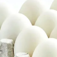 Egg Rates Hiked Due To other expenses