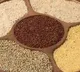 Make Millets as Popular as Yoga PM Modi Tells BJP MPs Ahead of Special Lunch in Parliament