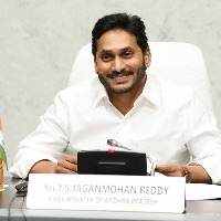 Gaiety marks Andhra Pradesh CM's birthday