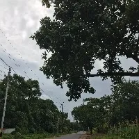 Yellow alert issued to Hyderabad