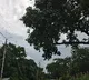 Yellow alert issued to Hyderabad