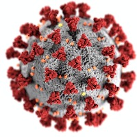 UP: After Agra, Unnao youth tests Covid positive