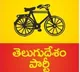 NRI TDP employments 13 youth in US
