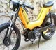 Luna electric version will release next year