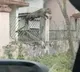 Leopard Leaps Over Fence and Attacks Car