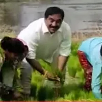 Minister Errabelli turns agri labor in his own farm