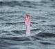 Andhra couple drown in frozen US lake