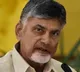 Case filed on chandrababu sabha mishap