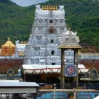TTD releases white paper on assets