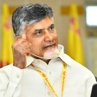 People are revolting against YSRCP rule, says Chandrababu Naidu