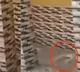 Photo of 4 squat toilets with no door in UPs Basti goes viral