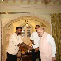 Pandya brothers met Amit Shah