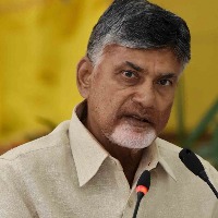 Andhra Home Minister blames Naidu for stampede deaths