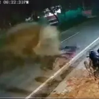Bengaluru Traffic Cops Advice As Elephant Hits Bike Parked On Road