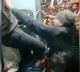 Train Ticket Checkers Viciously Assault Passenger Kick Him In The Face