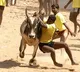 Tamilnadu govt gives nod to Jallikattu
