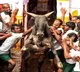 20 people injured in jallikattu competition in Thachankurichi