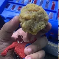 Fungus Found In Bhadrachalam Sita Ramachandraswamy Temple prasadam