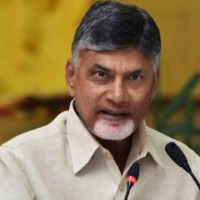 Chandrababu Naidu condemns indiscriminate arrests of TDP supporters