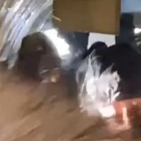 Dramatic scenes as Russian planes door opens midair passengers scared