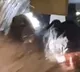 Dramatic scenes as Russian planes door opens midair passengers scared