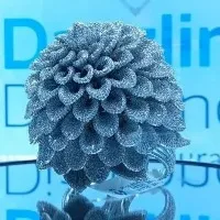 Meerut jeweler designs ring with 26200 diamonds breaks world record