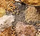 Why whole grains are touted as the storehouse of good health
