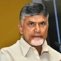 tdp national president chandrababu reaction on mirchi crop farmers