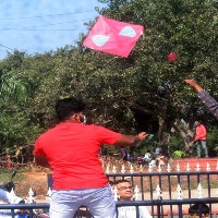 Hyderabad police prohibits kite flying on roads, around places of worship