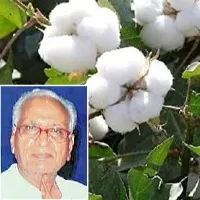 varalaxmi cotton seed creator k papa rao passes away