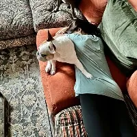Samantha garners attention with Instagram post