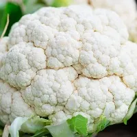 Potential Health Benefits of Cauliflower