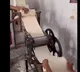 Fan of street side noodles street side shows how its made and you will probably not want to eat it ever