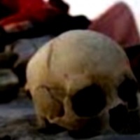 Maharashtra woman forced to drink water with human bones powder, ashes to conceive; MSCW seeks report