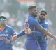 newzeland lose 5 wickets early