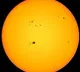 Indian observatory found biggest sun spot