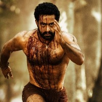 'USA Today' names NTR Jr on its list of Best Actor Oscar hopefuls