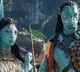 Avatar 2 beats Avengers Endgame by becoming highest grossing Hollywood flick in India