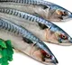 Eating oily fish twice a week might reduce the risk of kidney disease says scientists