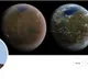 Elon Musk is officially Mr Tweet on Twitter know the story behind his new name