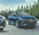 Maruti Suzuki looking into Bio gas from cow dung