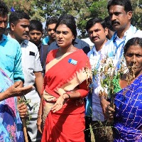 As Sharmila prepares to resume walkathon, she emerges as a challenger