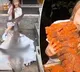 China food blogger fined after eating Great White Shark