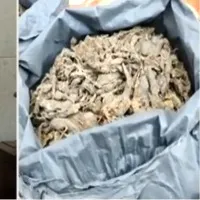 Ganja seized in Andhra University