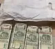 Termites Destroy Currency Notes Worth Rs 215 Lakh In Udaipur PNB