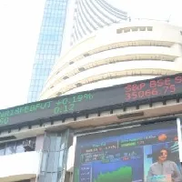 Markets ends in profits