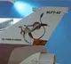 After row, HAL removes Lord Hanuman's picture from HLFT-42 aircraft