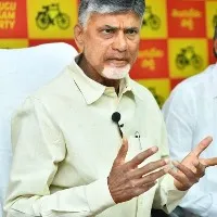 Chandrababu introduced new system in TDP