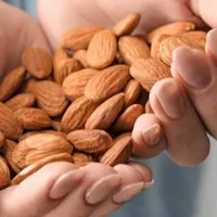 Almonds Decrease Diabetes Risk
