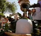 Devotees pour to Shiv Temples to visit lord shiva in the eve of mahashivratri